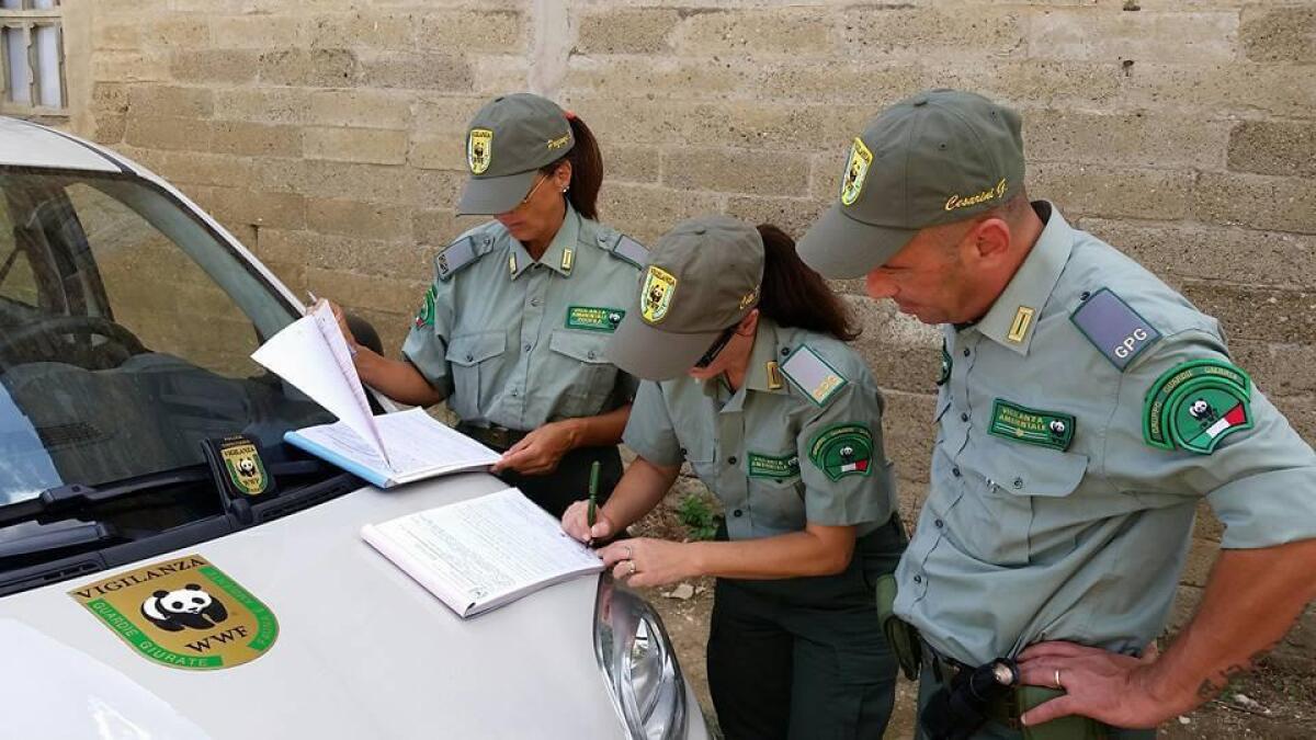 Cacciatore denunciato dalle Guardie venatorie: usava un fucile truccato -