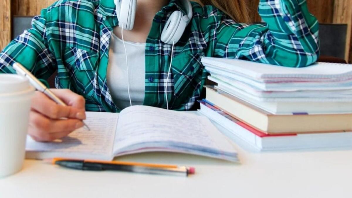 Approvato l&#8217; ordine del giorno sulle borse di studio - 