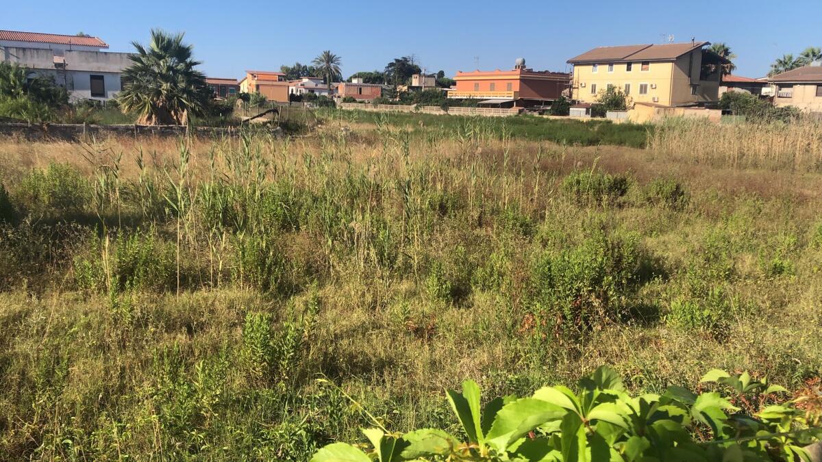 Ecco in quali condizioni versa il quartiere balneare di Manfria -