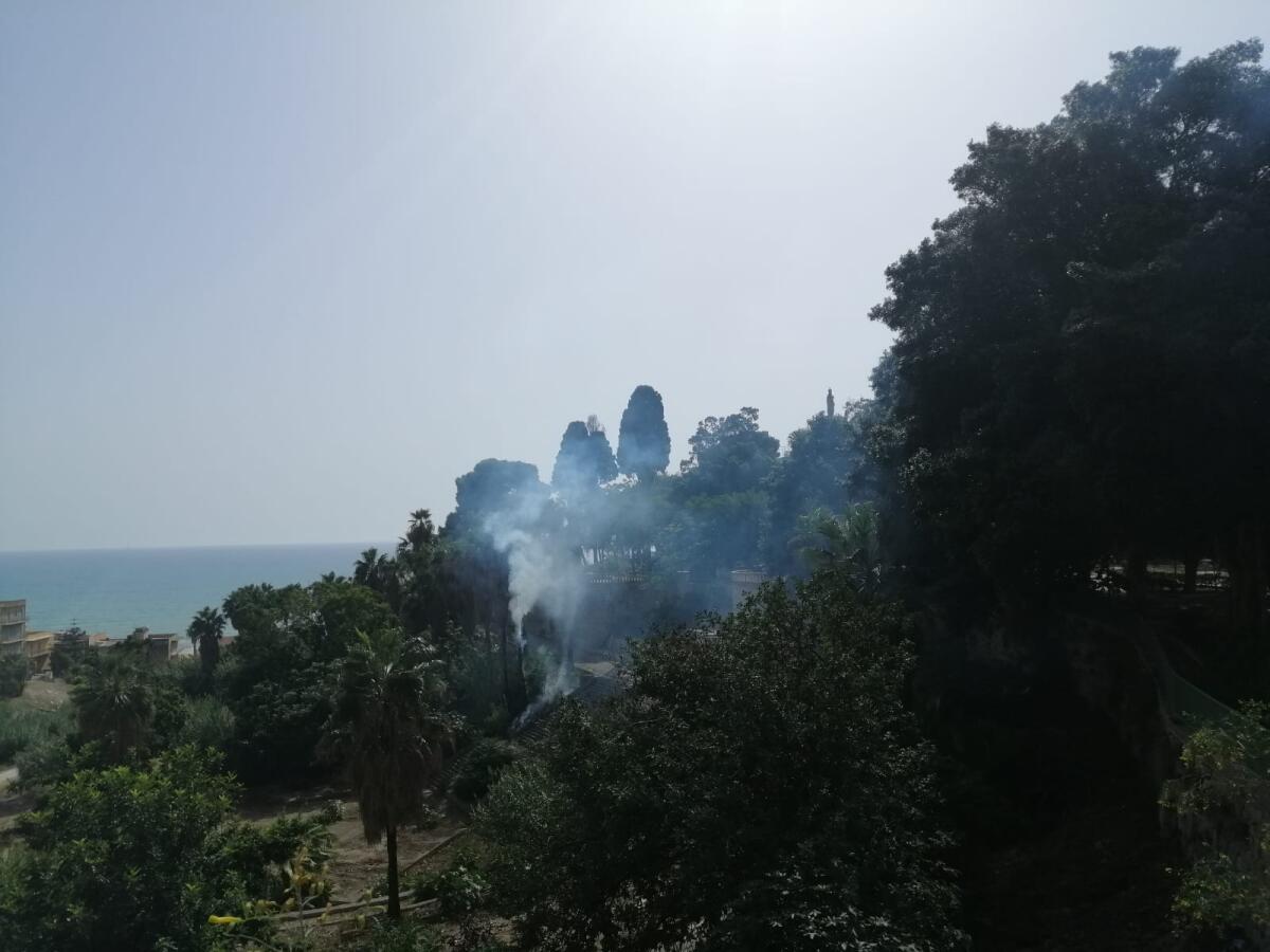 Italia nostra interviene sull&#8217;emergenza incendi - 