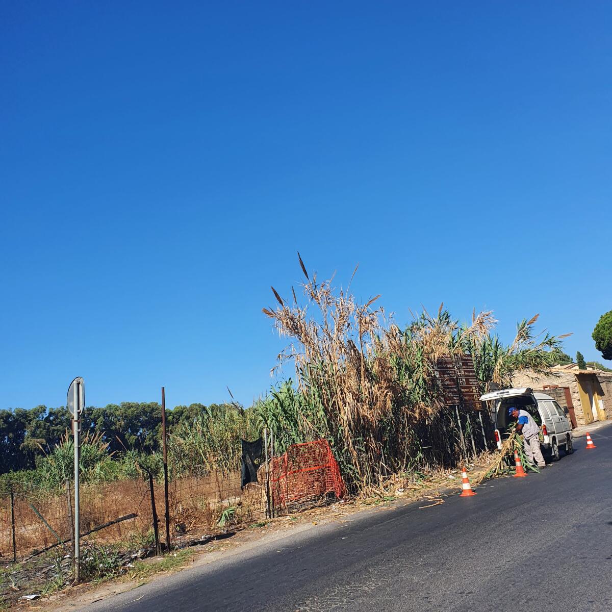 Ghelas subito in azione per cancellare la vergogna di viale Indipendenza -