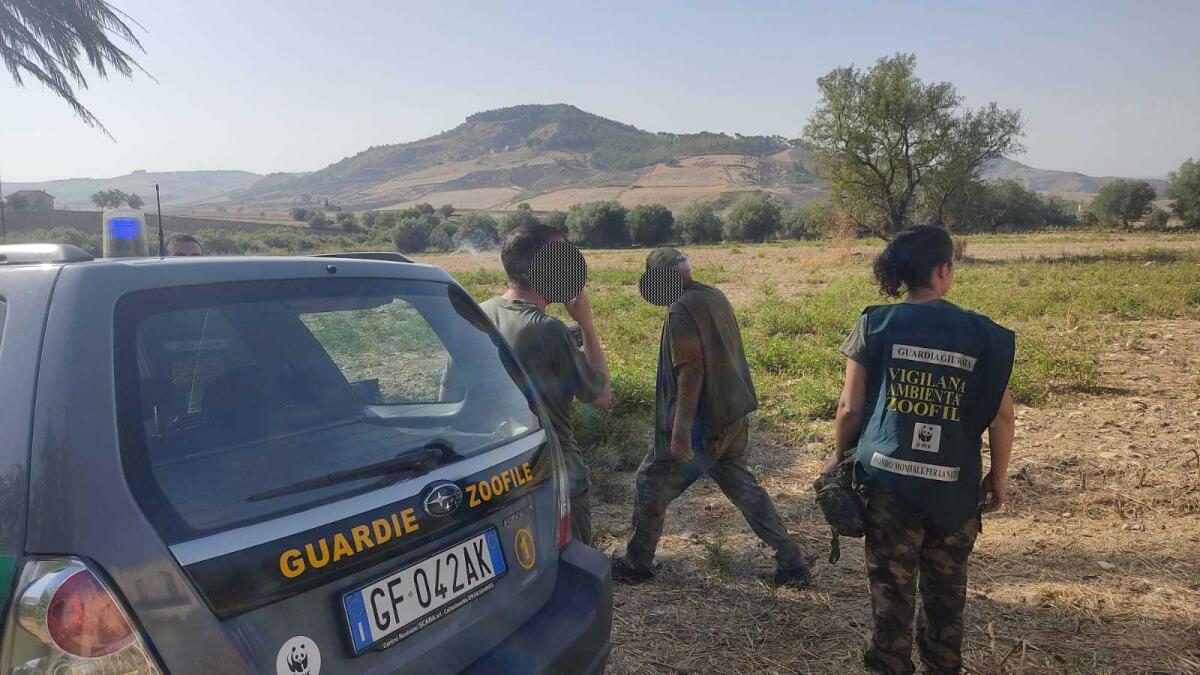Incentivati i controlli delle Guardie giurate del WWF nel Nisseno - 