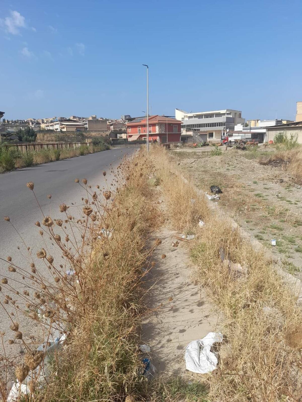 Il marciapiedi sommerso da sterpaglie - 