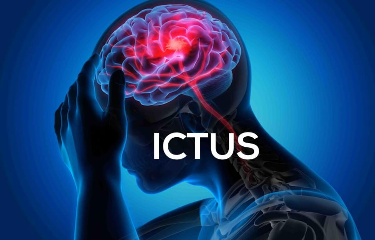 Al CEFPAS si parla di ictus: oltre 100.000 casi l’anno, è la prima causa di disabilità nell’adulto e la seconda di demenza - 