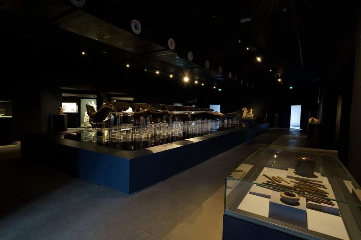 Il direttore del parco archeologico lavora ad una mostra con la nave greca, le arule e gli oricalchi - 