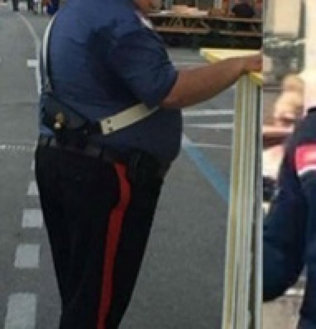 Escluso dall'Arma perché obeso: il Consiglio di Stato accoglie il ricorso -