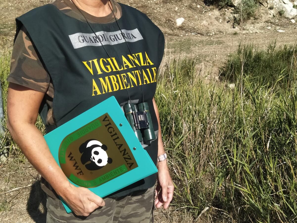 Controlli del Wwf: cani senza microchip e irregolarità’ edilizie - 