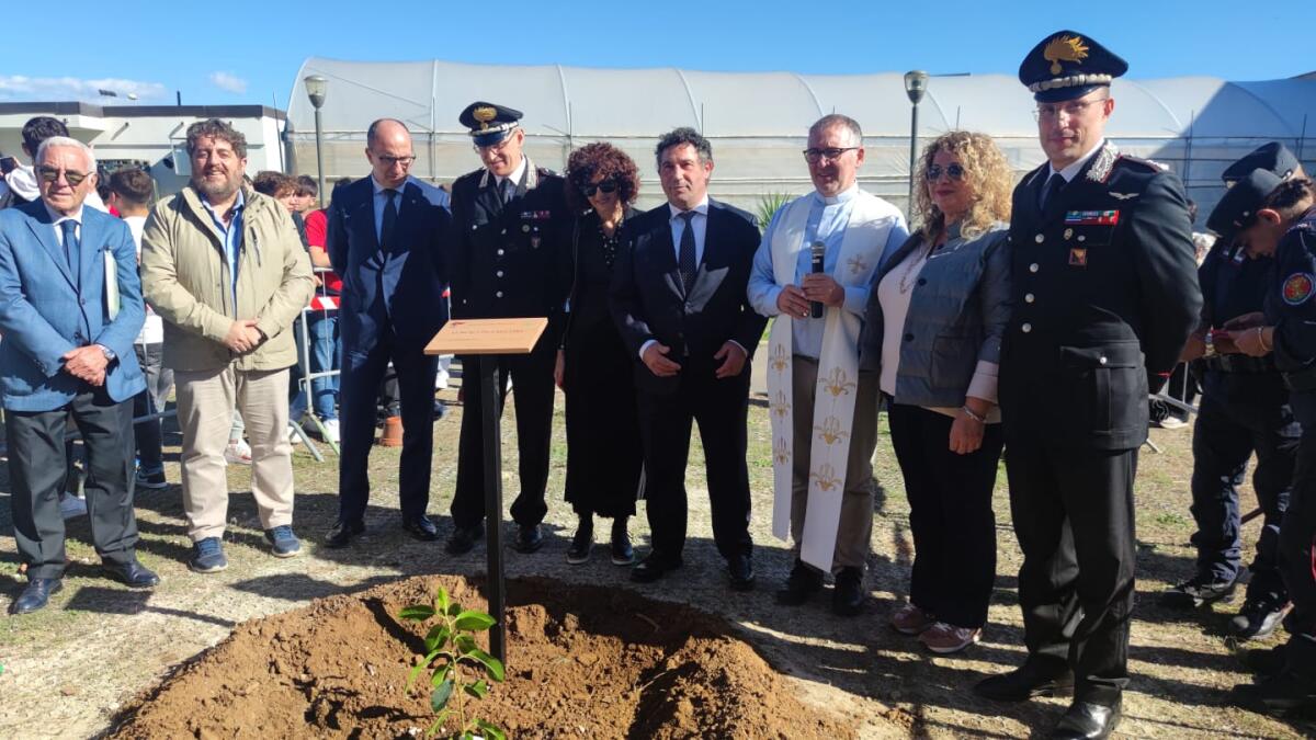 Le talee dell’albero di Falcone consegnate all’Istituto da Vinci di Niscemi - 