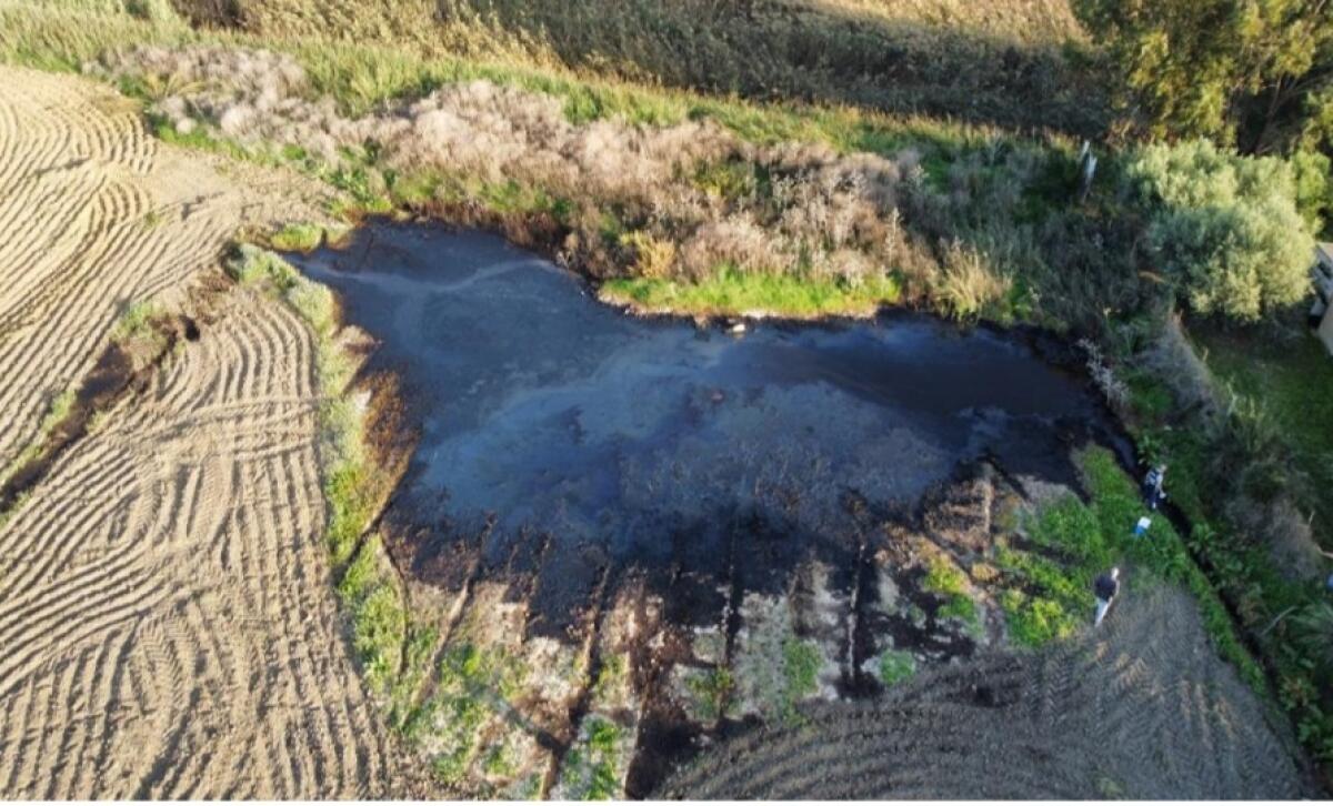 Versava gli scarti delle olive nel fiume Gela: denunciato - 