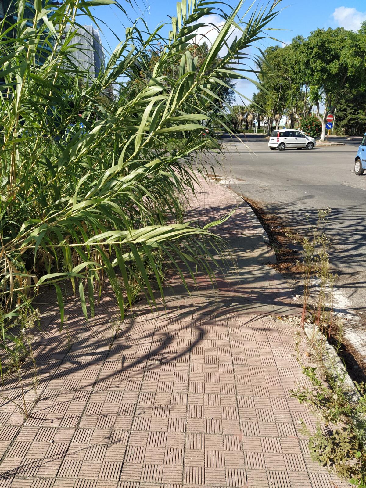 Gela, canneto sul marciapiede a Macchitella - 