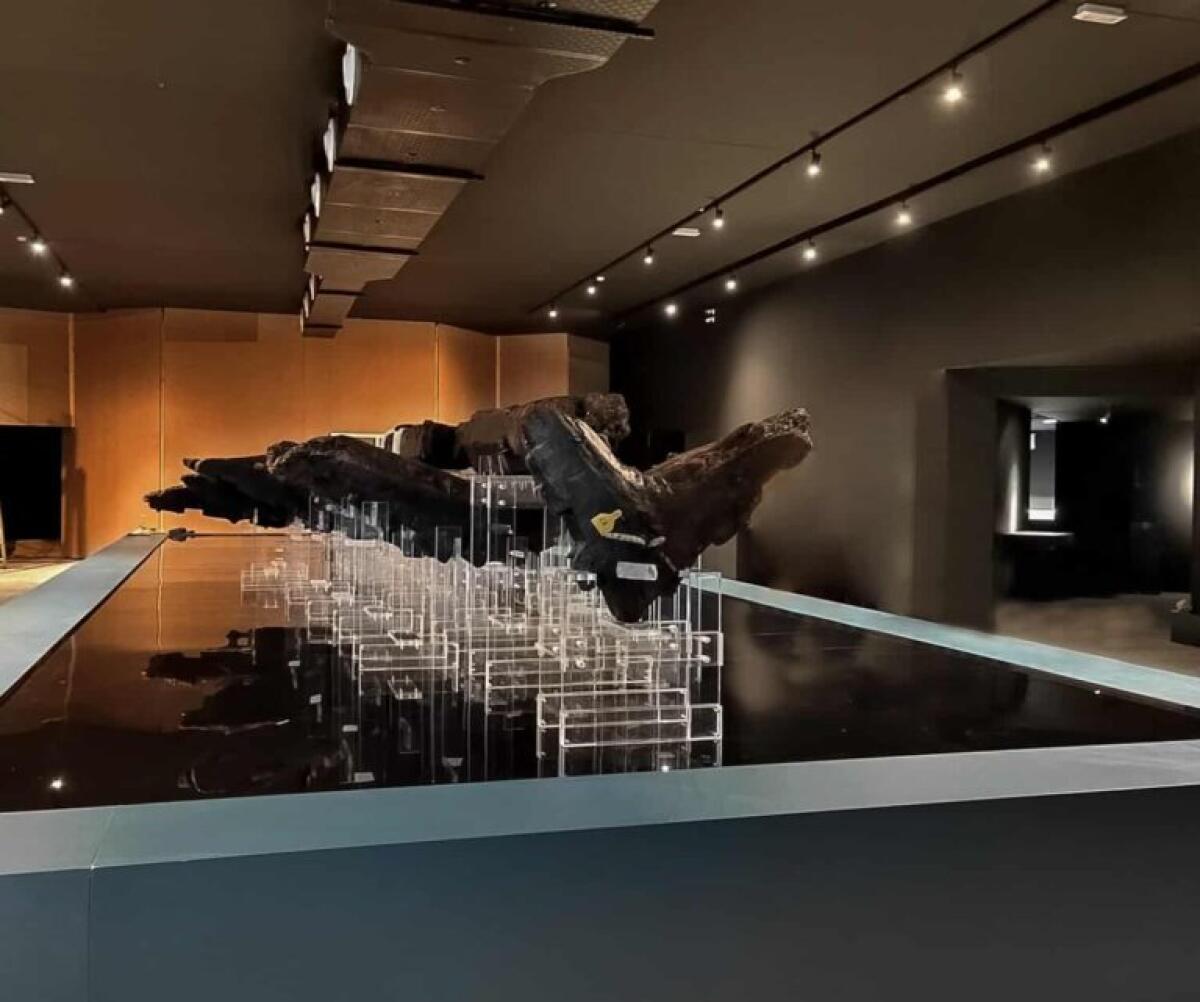 Visite guidate alla Mostra di Ulisse a cura della Regione - 