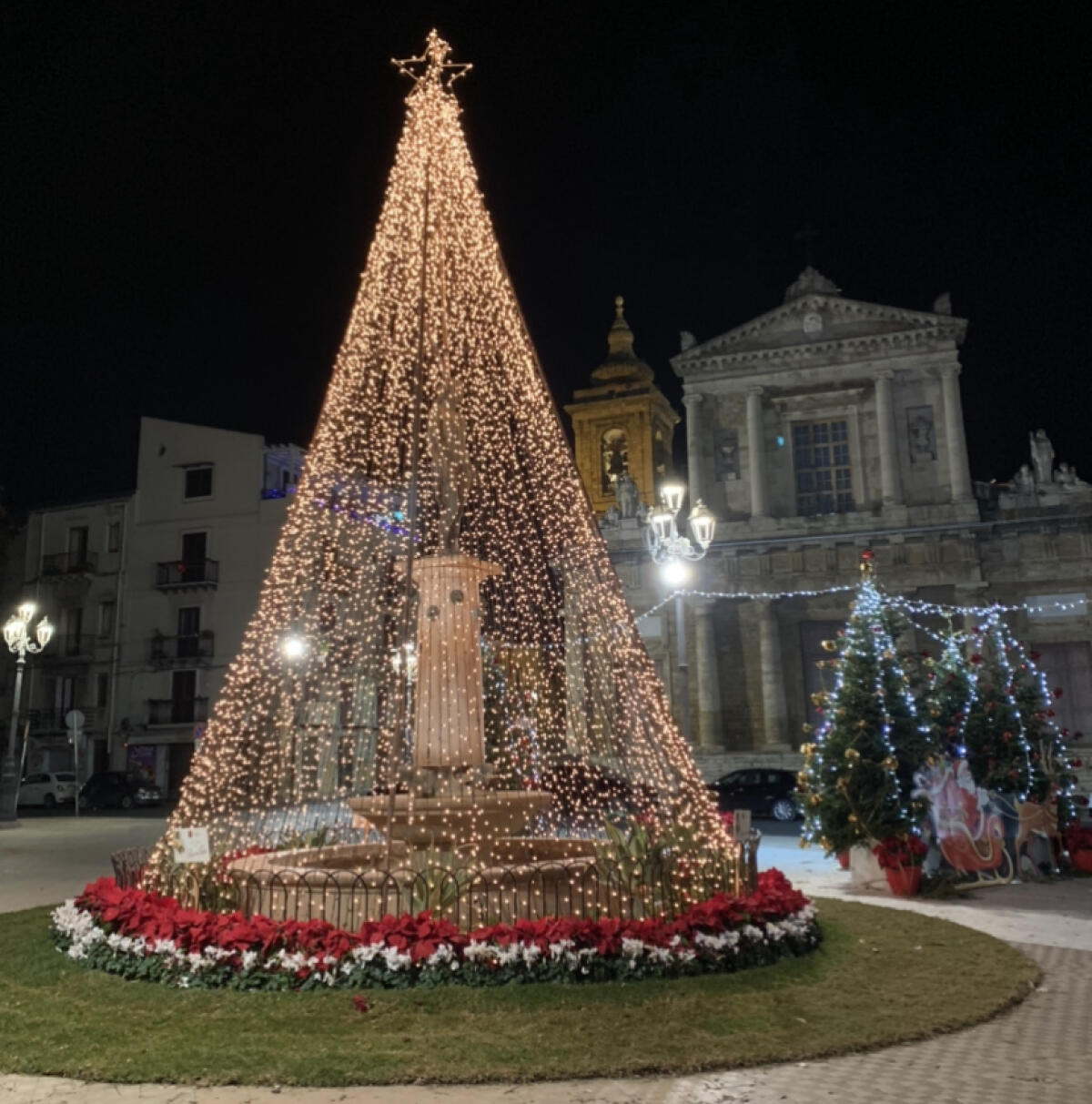 Sotto l’albero le speranze di una città - 