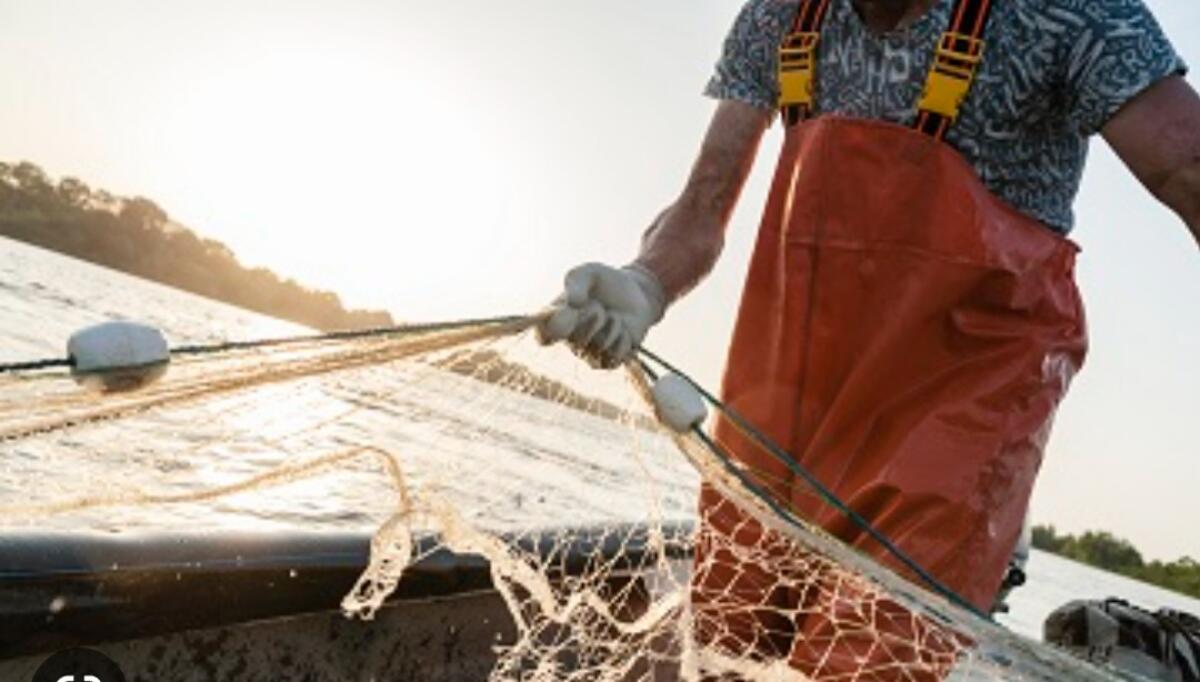 Tardino (Lega): a Strasburgo approvati gli indirizzi per la pesca artigianale nell’Ue - 