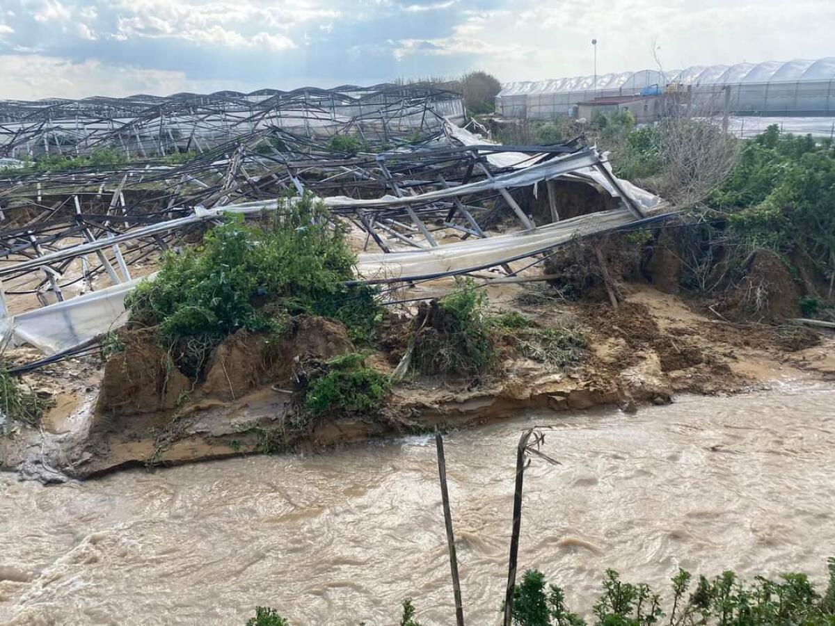 Danni per oltre 100 mln: la Giunta regionale dichiara lo stato di calamità naturale - 