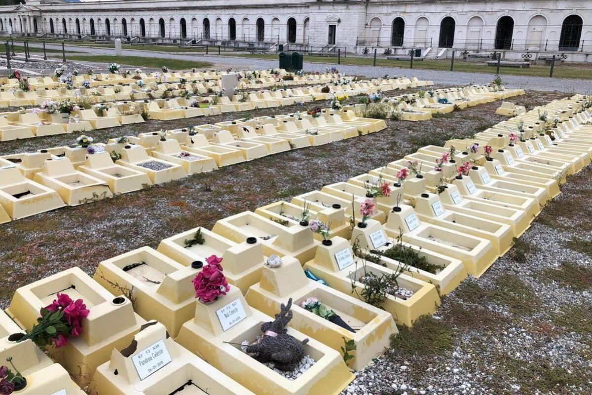 Il cimitero dei bimbi mai nati - 