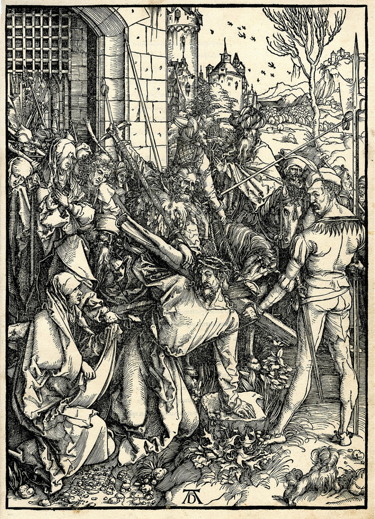 Nel segno di Dürer, al via il calendario degli eventi collaterali della mostra - 