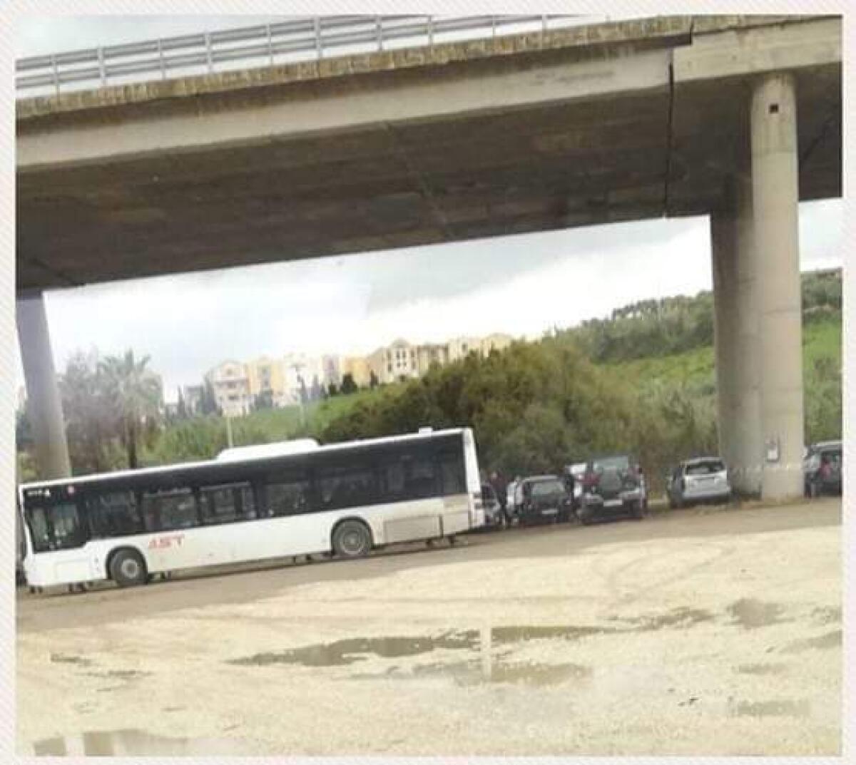 Fermata autobus lontana dall&#8217;ingresso di Farello tra i randagi e le auto che sfrecciano - 