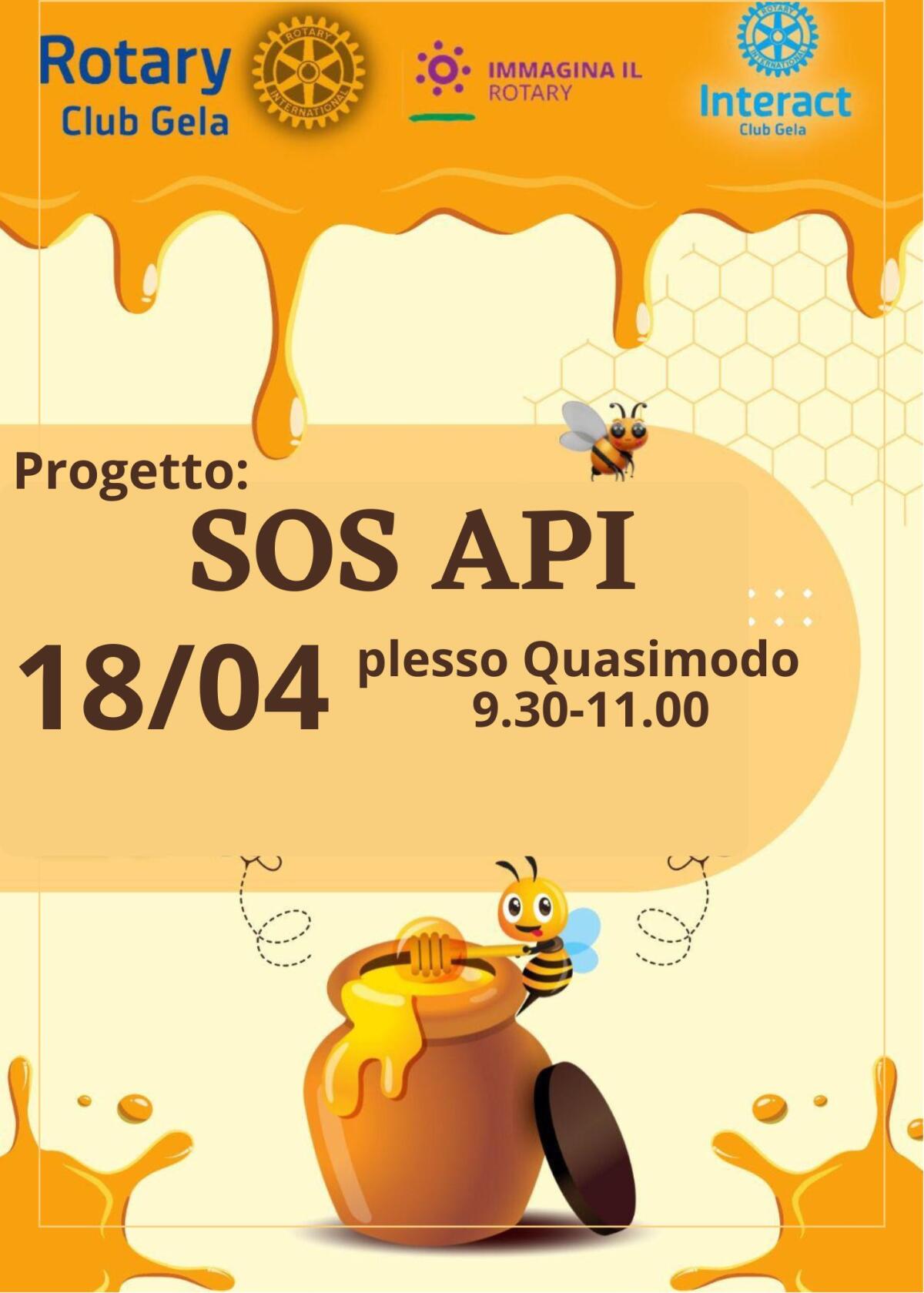 Sos api all’istituto Quasimodo - 