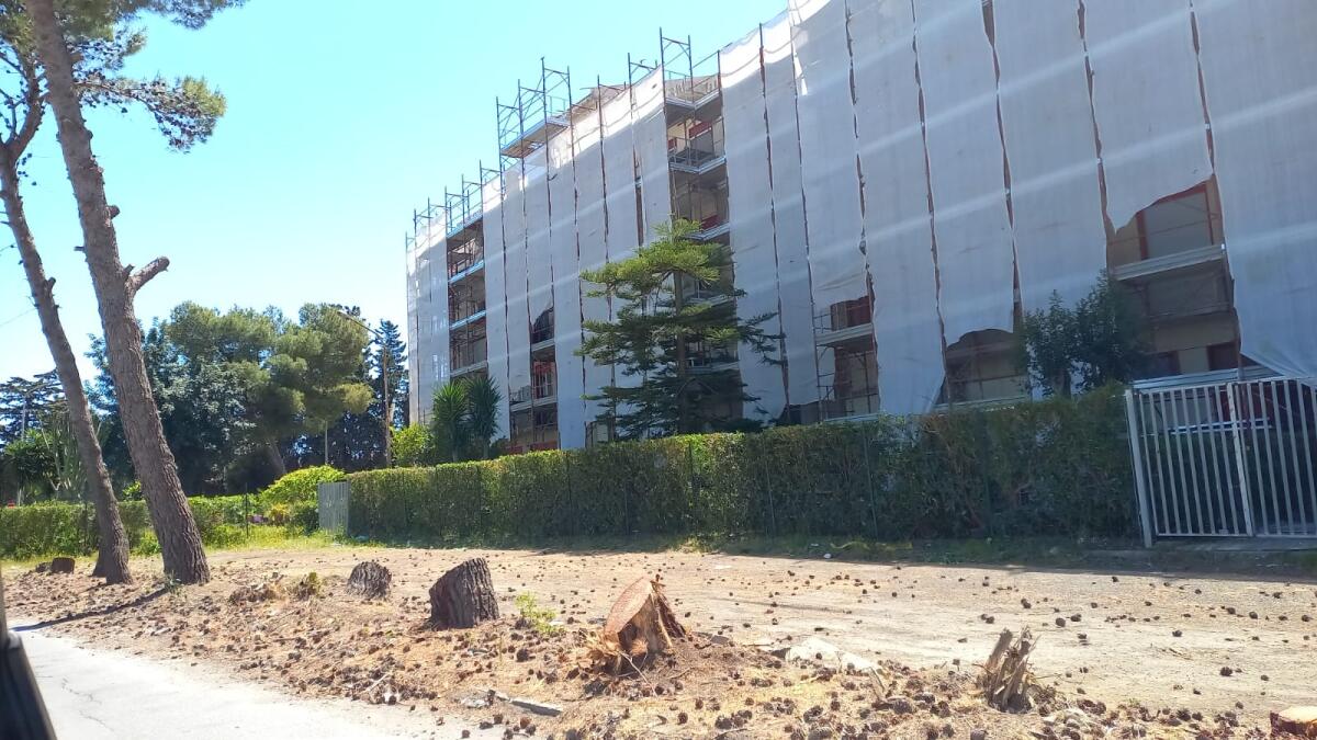 Proteste per alberi eliminati davanti a cantiere edilizio a Macchitella - 