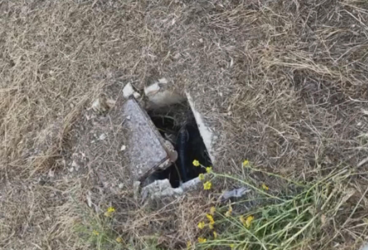 Macchitella, manutenzione assente e pericolo tombini scoperti - 