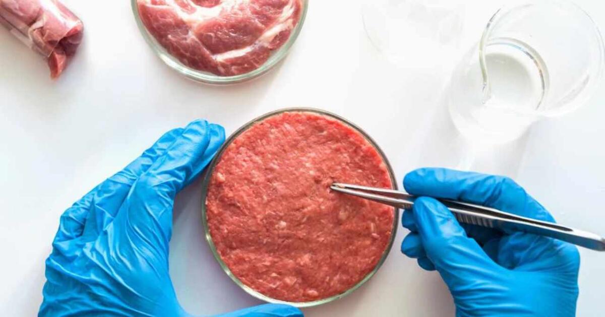 Fdl: «No al cibo sintetico, siano tutelate le produzioni alimentari tradizionali e siciliane» -