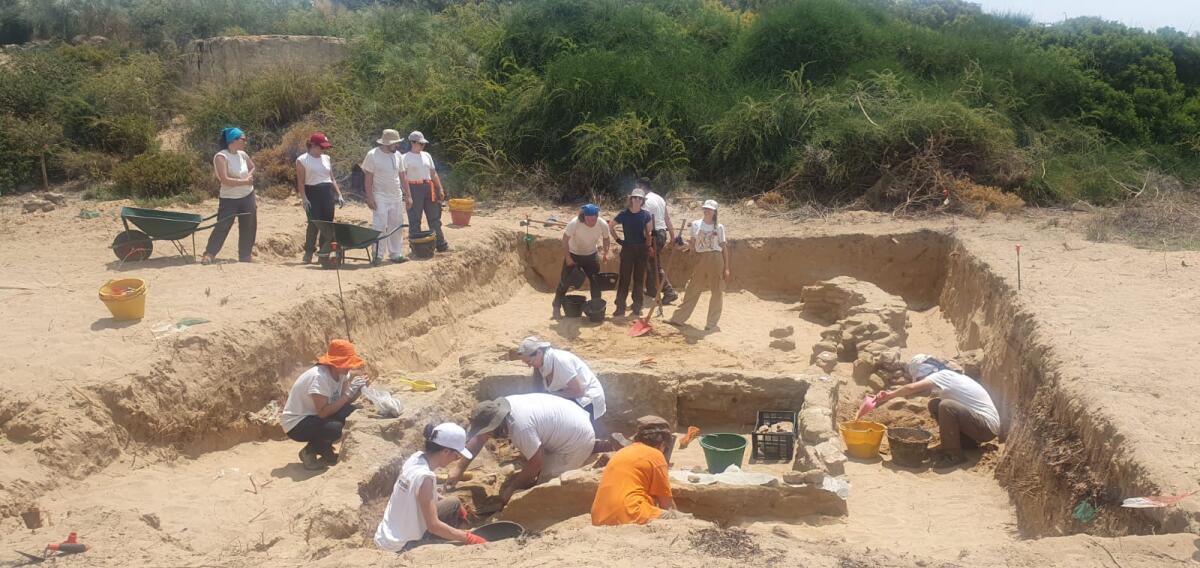 Due Università conducono ricerche a Bosco Littorio ed emergono ambienti dell’emporio - 