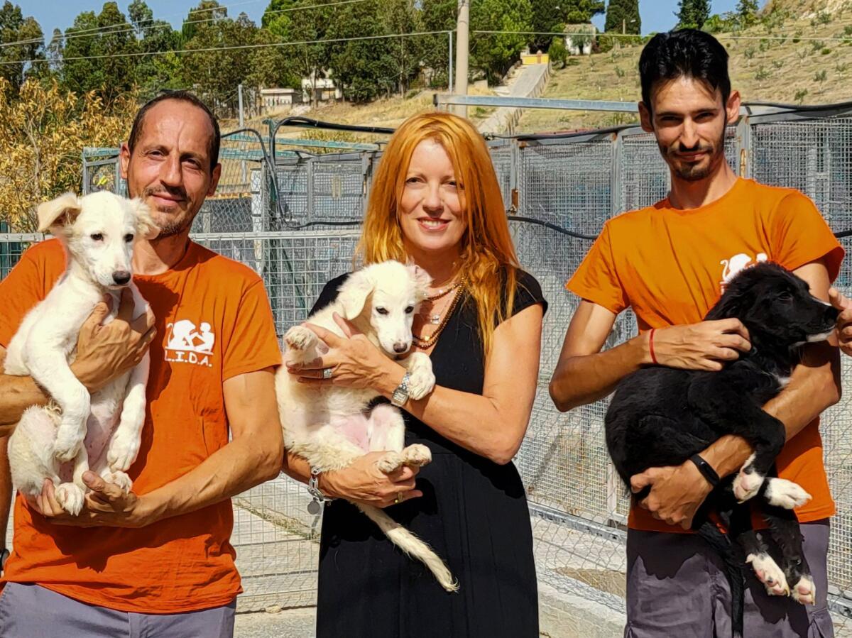 L’on. Brambilla chiede il 5×1000 in favore degli animali - 