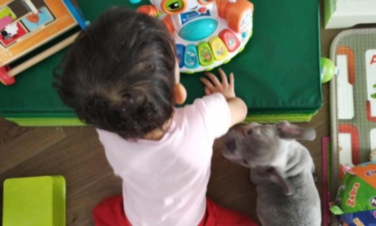 Il Comune contro una bambina disabile…e perde! - 