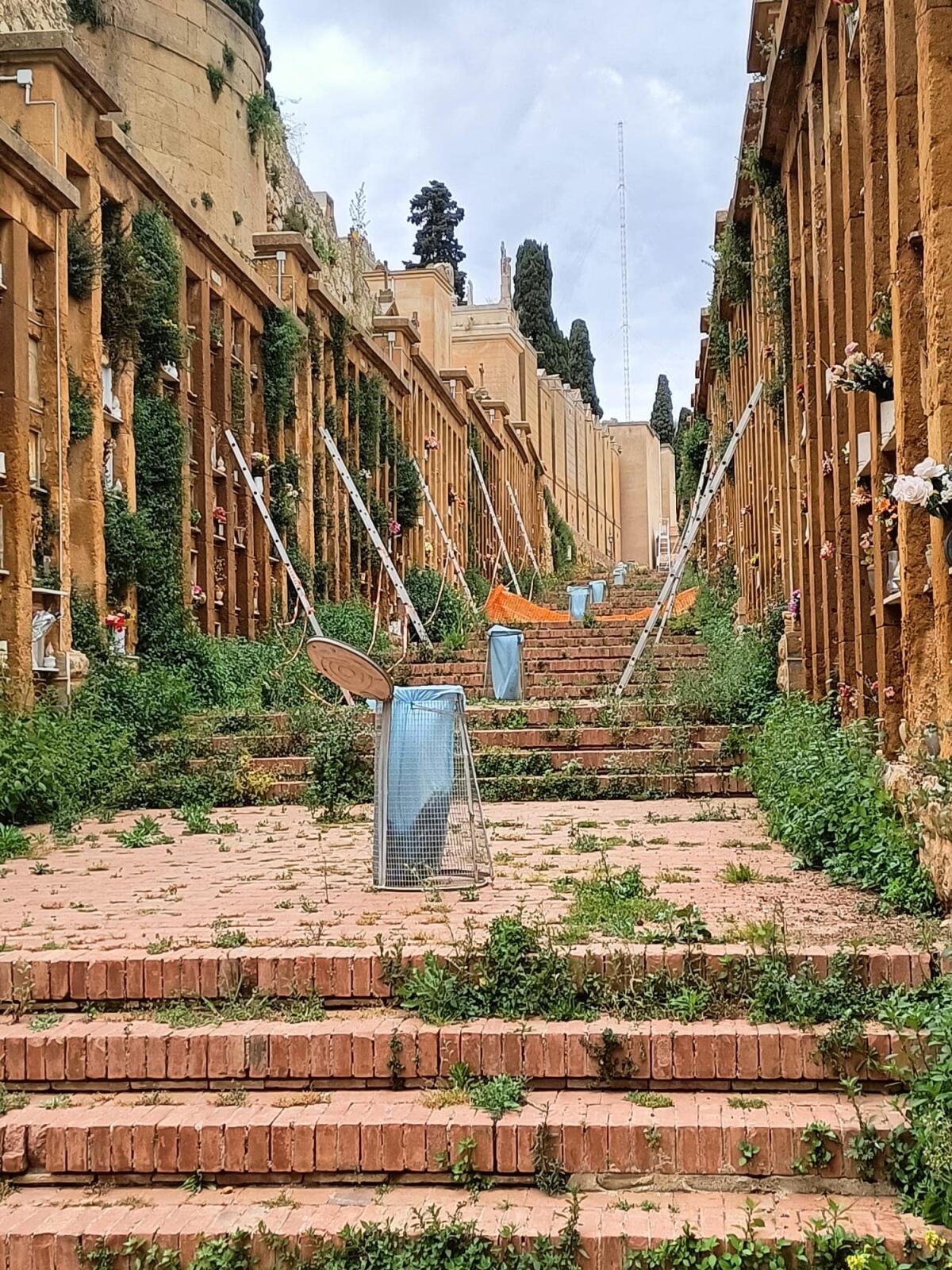 Disastrose condizioni del cimitero di Caltanissetta -
