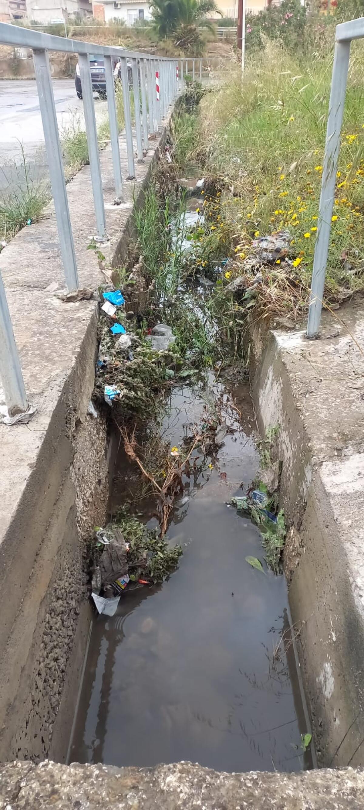 Canale di scolo di via Paci ostruito (come sempre) - 
