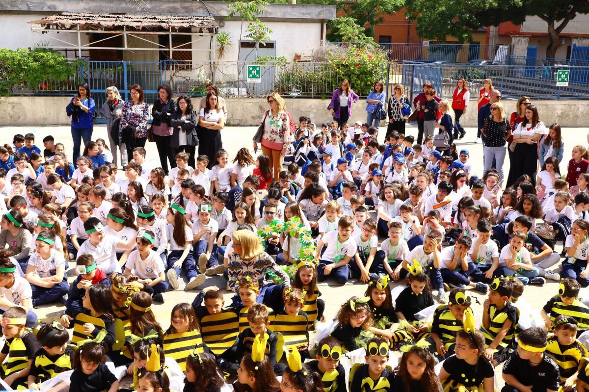 Trecento bambini partecipano alla conclusione del progetto S O S Api - 