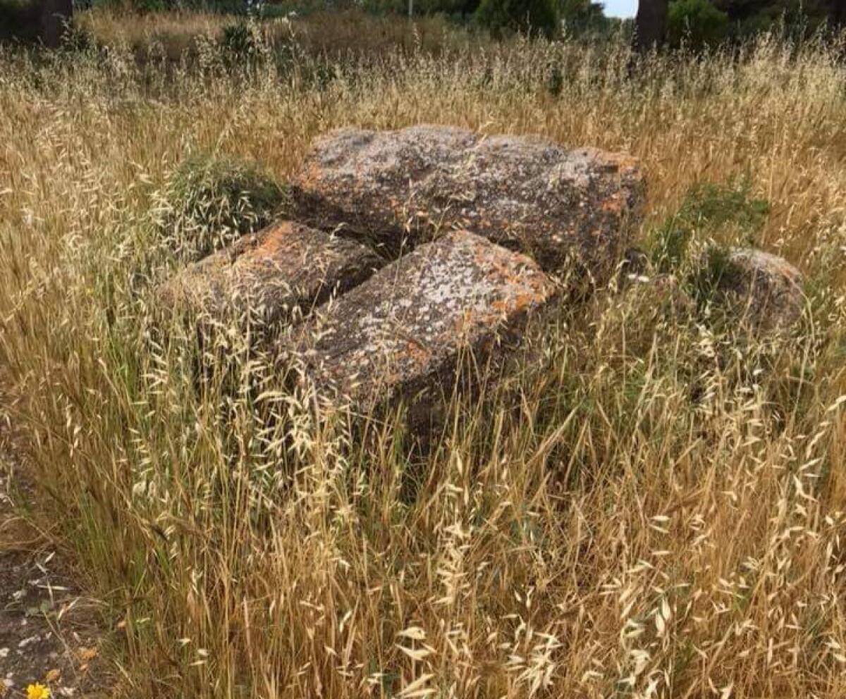 Siti archeologici chiusi e invasi da sterpaglie - 