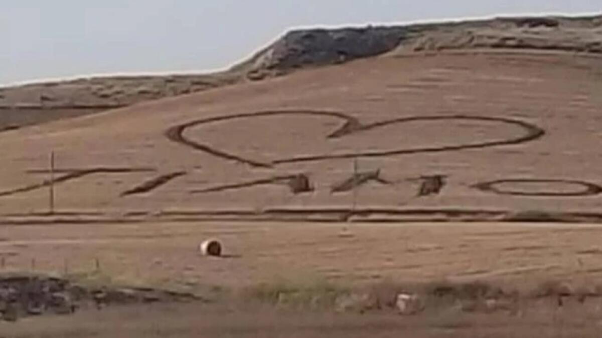 Dichiarazione d&#8217;amore da &#8220;crop circles&#8221; - 