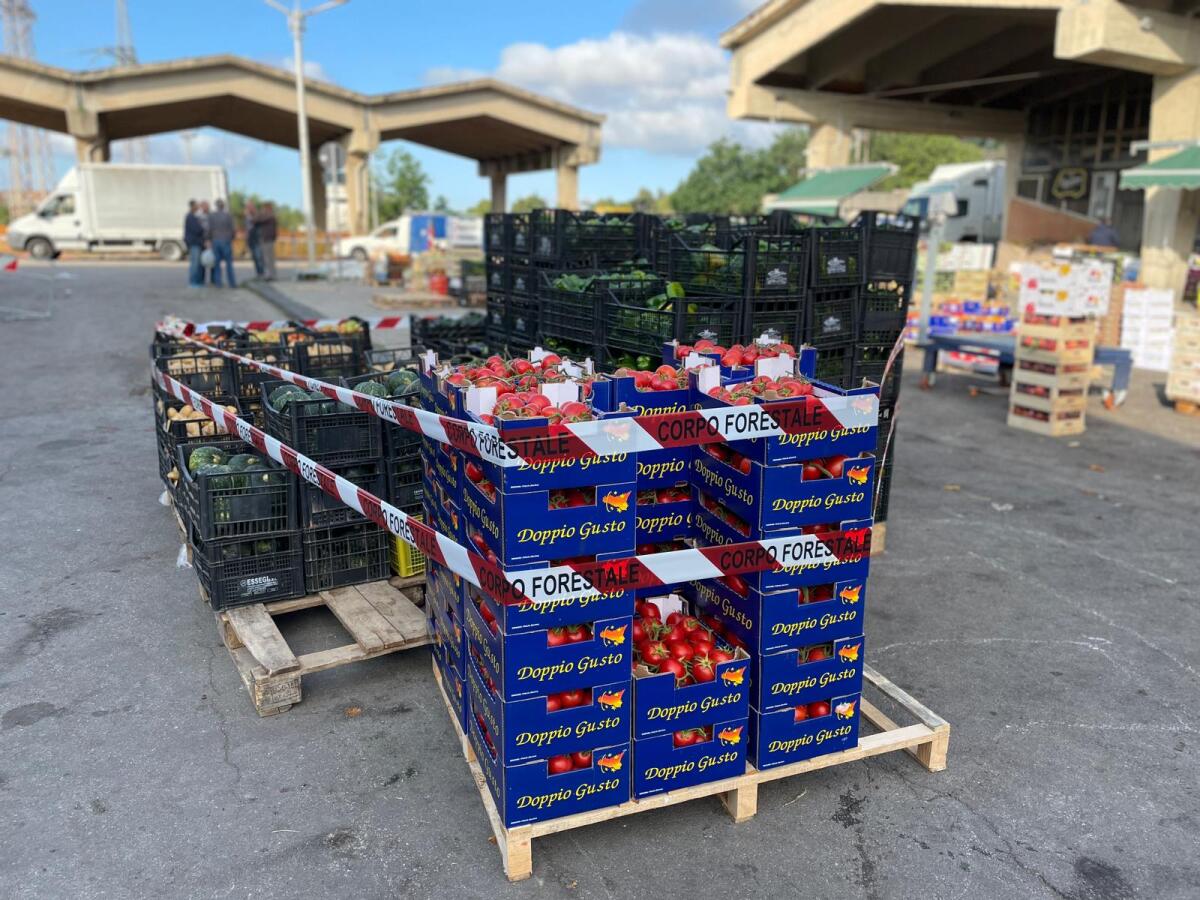 Il Corpo Forestale sequestra 2 tonnellate di merce a Caltanissetta - 
