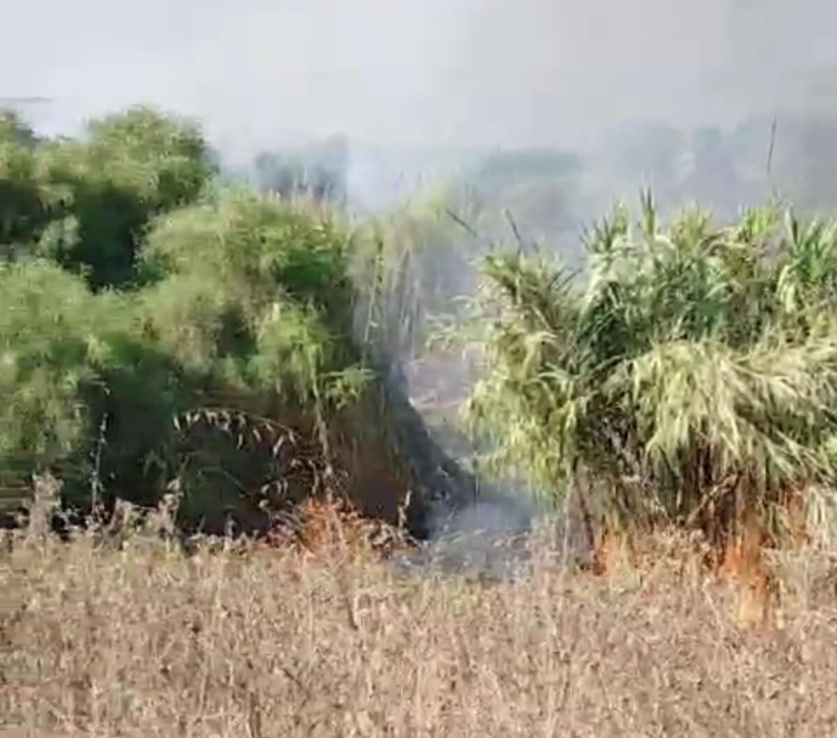 Bruciano i Giardini di Demetra e Kore. Gela che cambia: “Inascoltati i nostri appelli” - 
