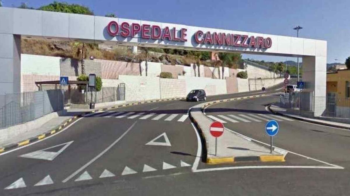 Paura a Vittoria, bimba azzannata da un cane randagio - 