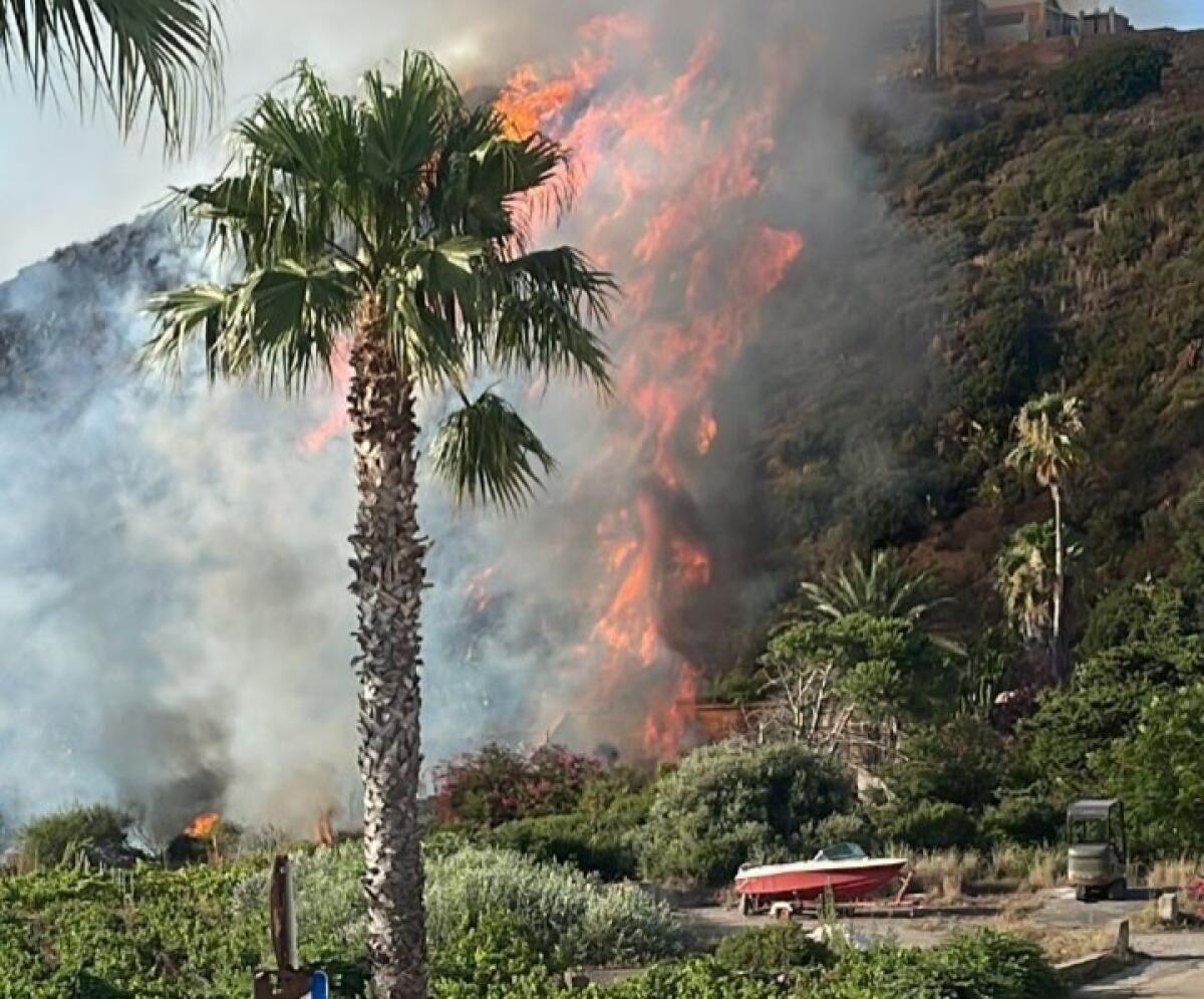 Emergenza incendi. Di Paola (M5S): Mancano Vigili del Fuoco perché il Ministero li convoca per 5 settimane fuori dalla Sicilia -