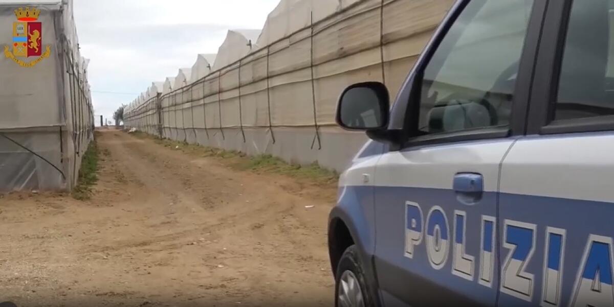 Caporalato e sfruttamento del lavoro nelle campagne tra Caltanissetta e Agrigento: la Squadra Mobile ha eseguito 8 misure cautelari - 