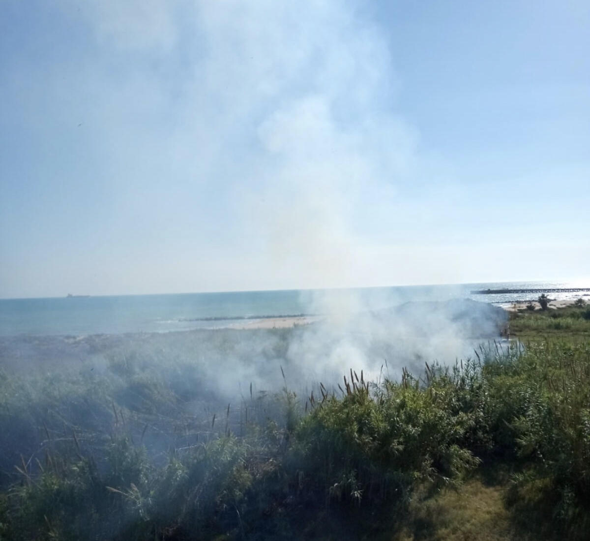 Rogo ai giardini Demetra e Kore, intervengono i vigili del fuoco - 