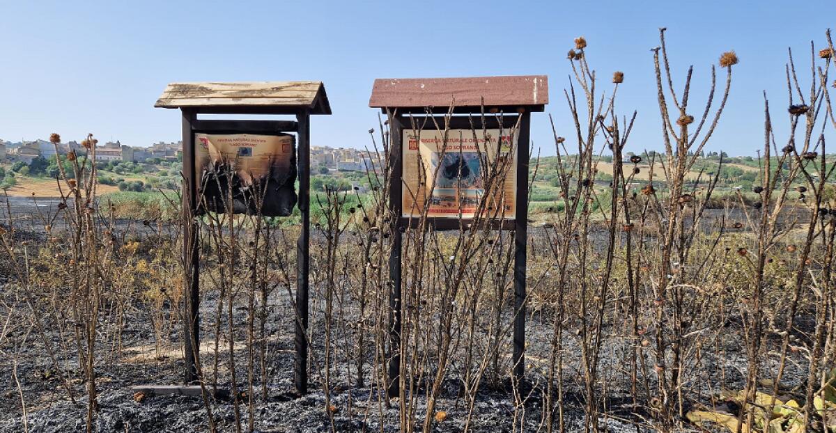 L’amara analisi del Wwf Sicilia sull’incendio di Lago Soprano - 