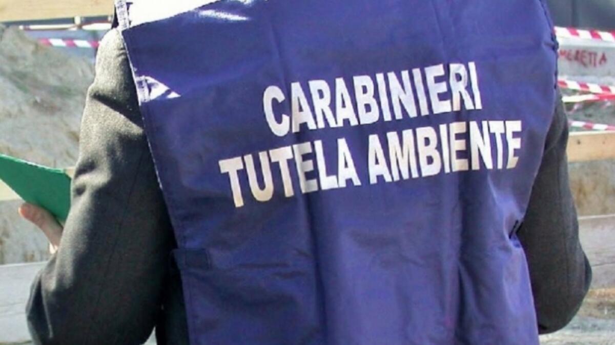 Gela sede del nucleo operativo ecologico dei Carabinieri - 