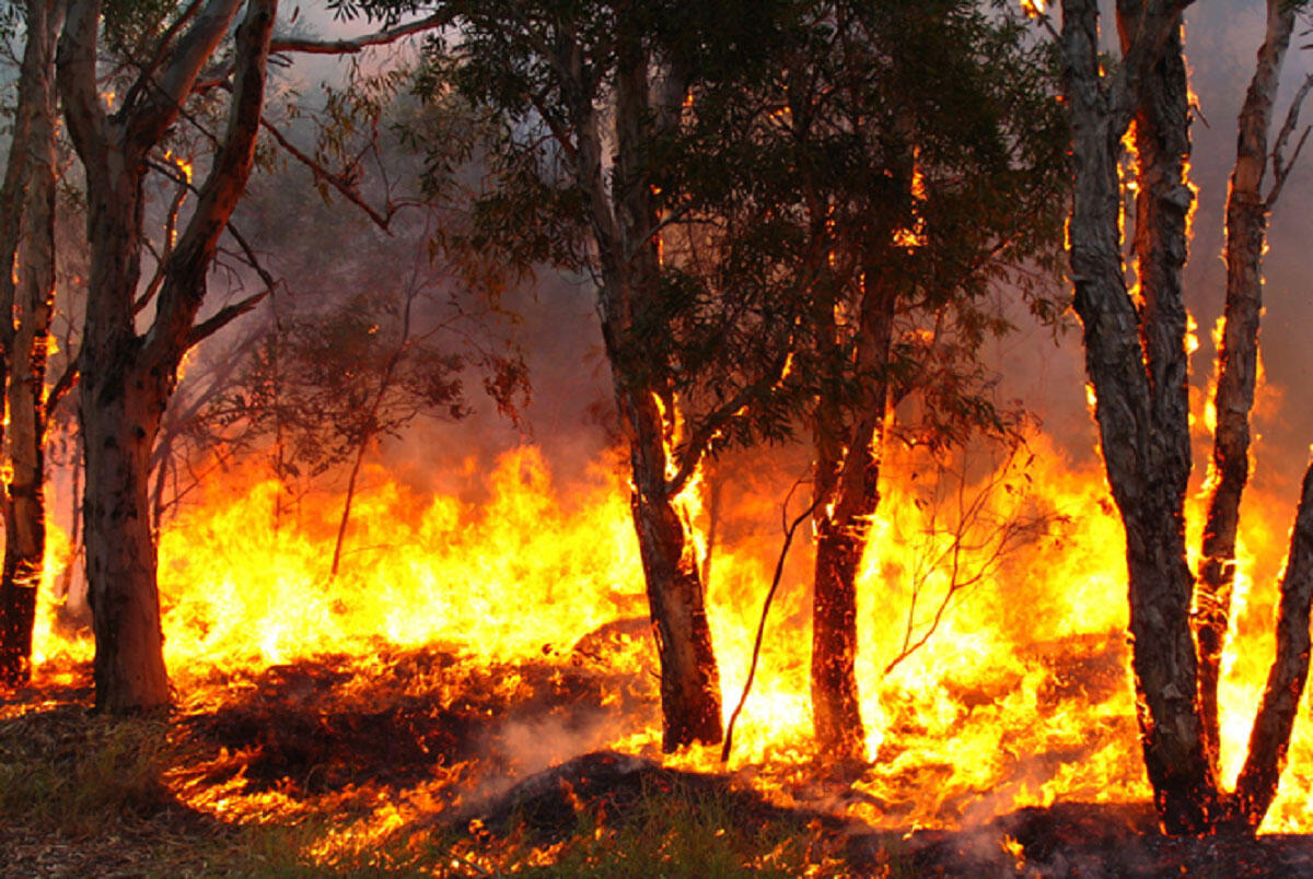 Vertice in Prefettura sulla prevenzione degli incendi boschivi - 