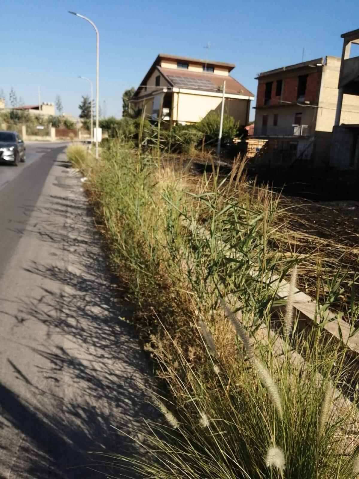 Marciapiedi impraticabili. Dominano le sterpaglie - 