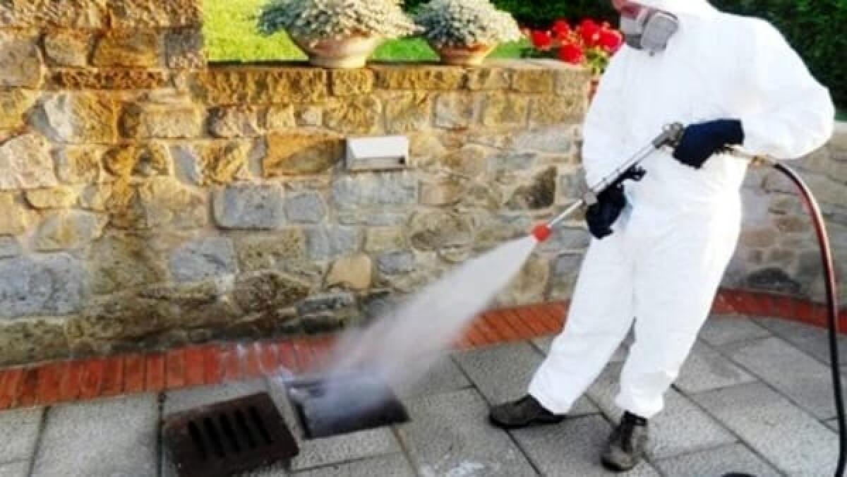 Torna la disinfestazione e deblattizzazione nei quartieri - 