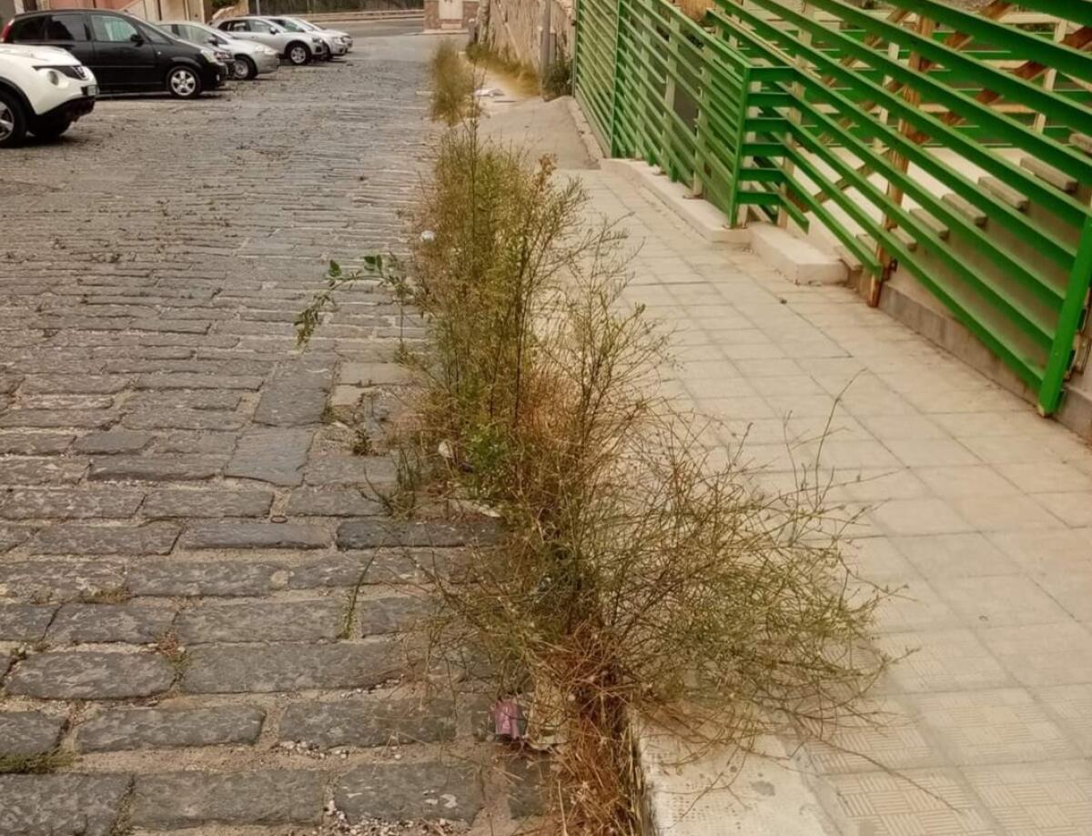 Strade prossime alle scuole terra dei topi e delle sterpaglie - smart