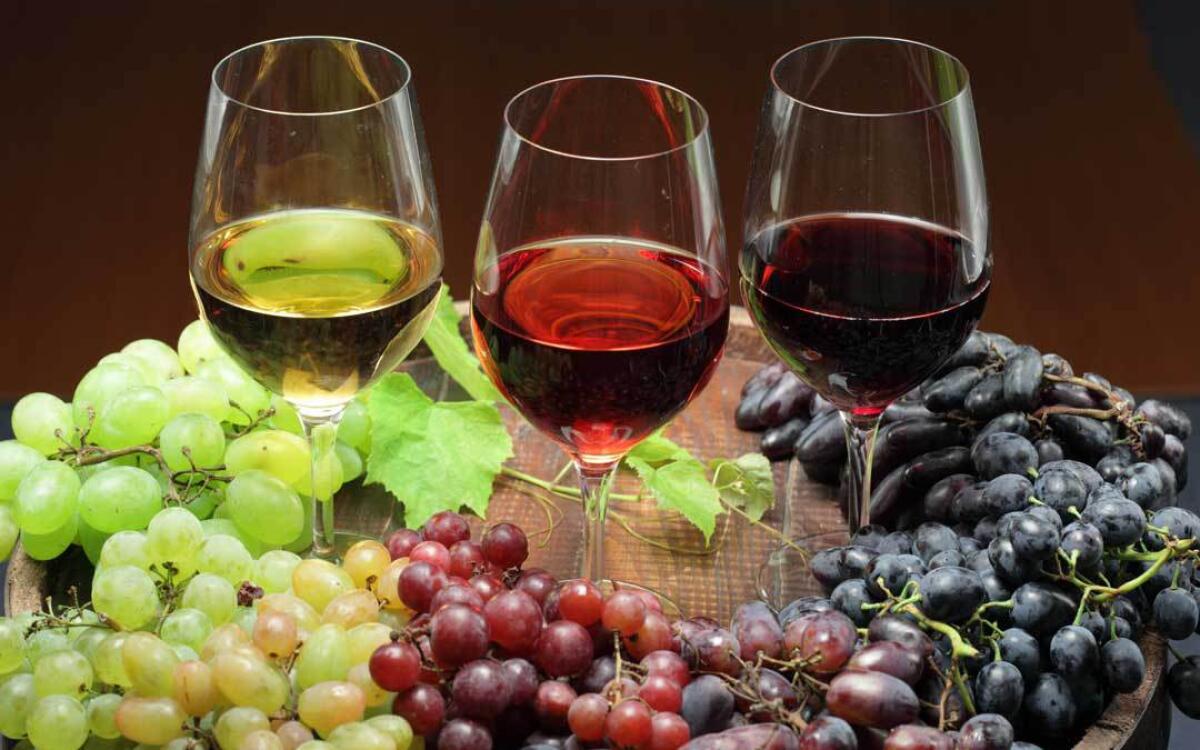 Ocm vino: al via due bandi dell’assessorato all’Agricoltura - 