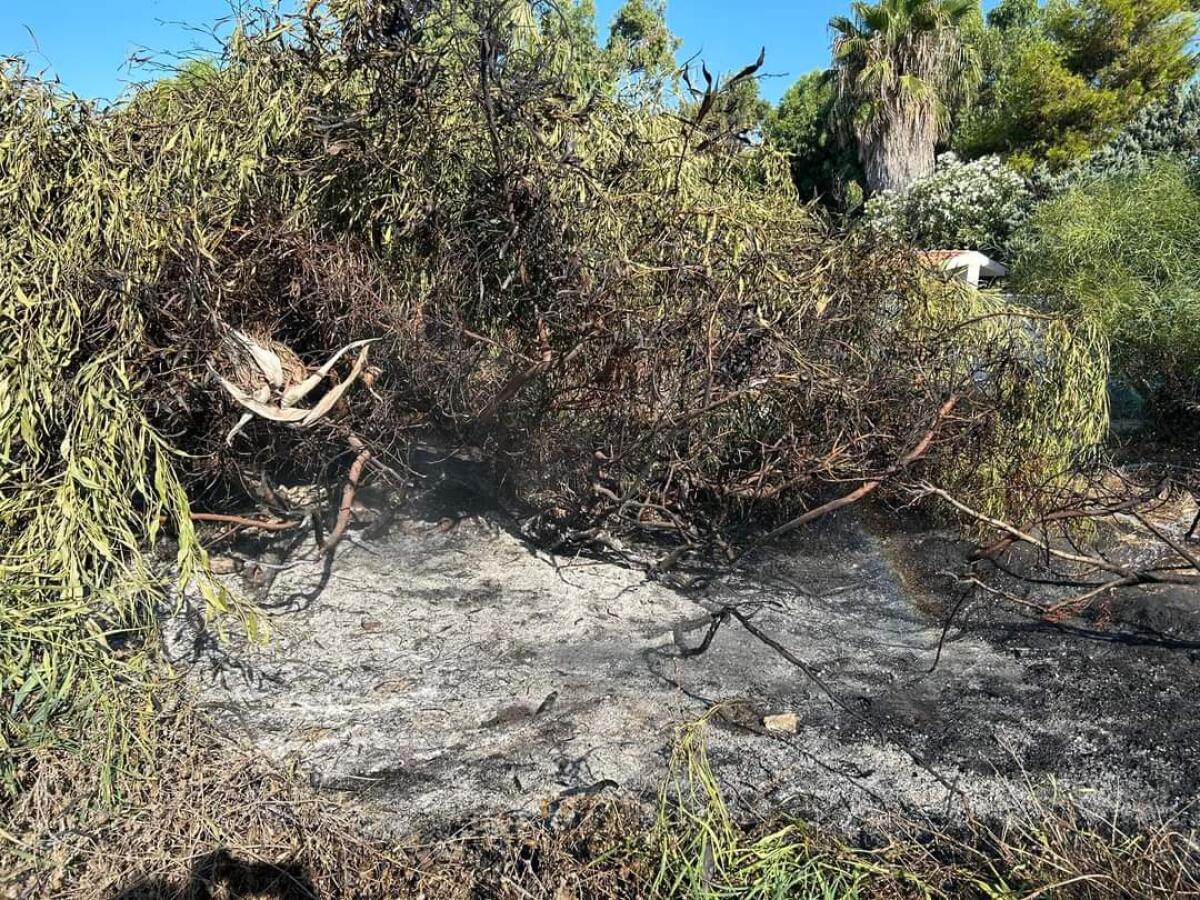 Si divertono a Ferragosto a incendiare la vegetazione nella spiaggia di Manfria - 