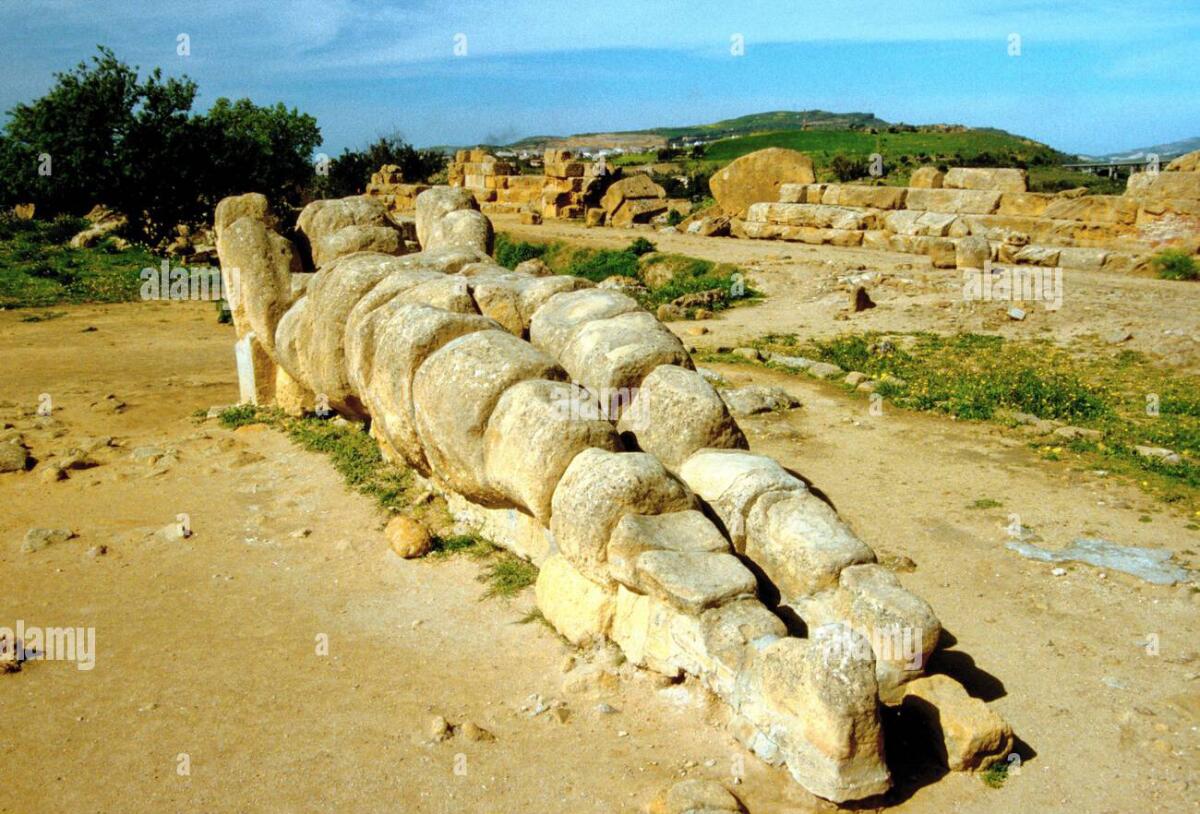 Il Telamone sara’ eretto - 