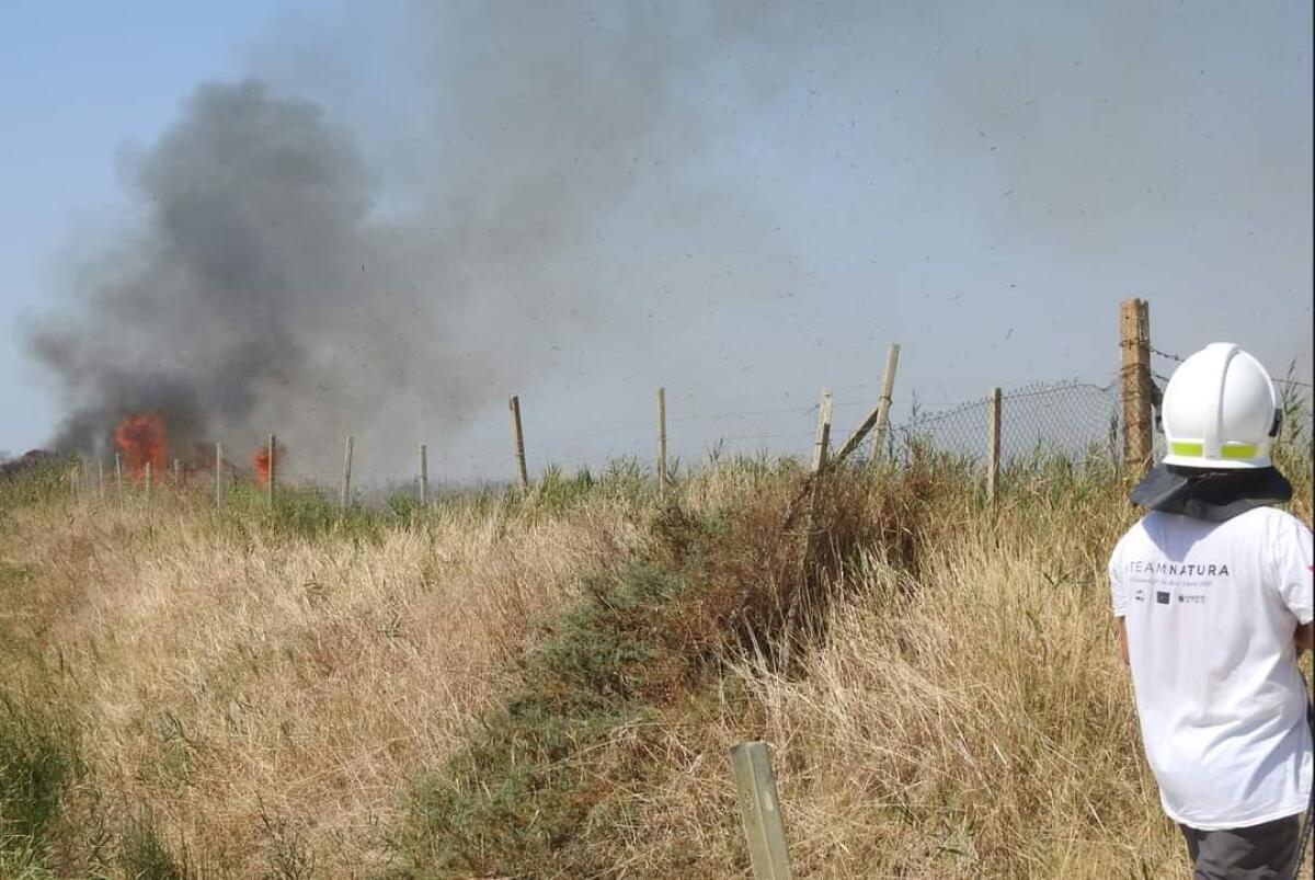 Incendio a ridosso dell&#8217;area protetta Geloi Wetland nella piana di Gela - 