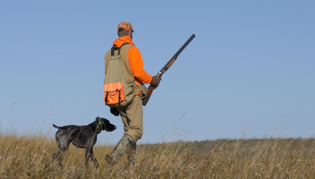 Caccia a Gela dal 1 ottobre al 31 dicembre -